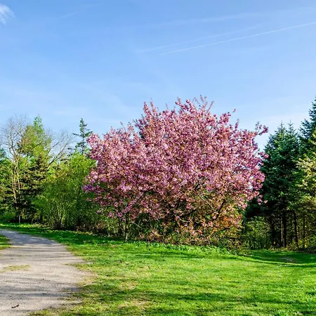 Koch Souterrain Bis 80 M² *