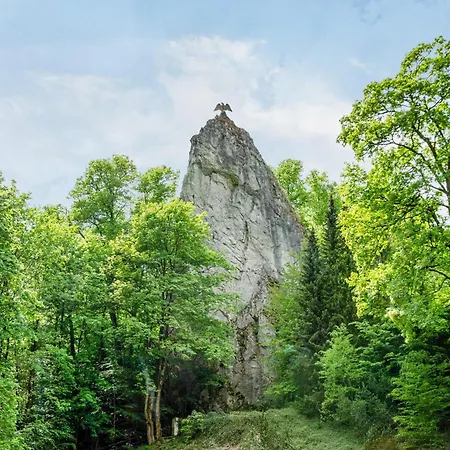 Appartement Koch Souterrain Bis 80 M² Bad Grund